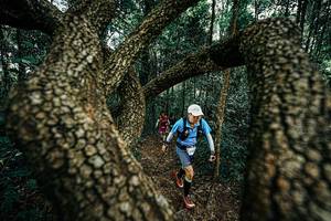 BIB: 
                            <button type="button" onclick="openModal(25393984)" class="btn btn-primary btn-sm float-right btn-popup" data-toggle="modal" data-target=".modal-high-quality">
                        <i class="fas fa-shopping-cart"></i> Add to Cart
                    </button>
                                            <button type="button" onclick="isThisMe(25393984, true)" class="btn btn-success btn-sm float-right btn-popup btn-isme hidden" data-toggle="tooltip" data-placement="bottom" title="นี่คือรูปของคุณใช่ไหม คลิกที่นี่เพื่อเอาเข้าอัลบั้ม">
                        <i class="fas fa-plus"></i> Add to album
                    </button>
                    <button type="button" onclick="isThisMe(25393984, false)" class="btn btn-warning btn-sm float-right btn-popup btn-isnotme hidden">
                        <i class="fas fa-ban"></i> Remove from album
                    </button>